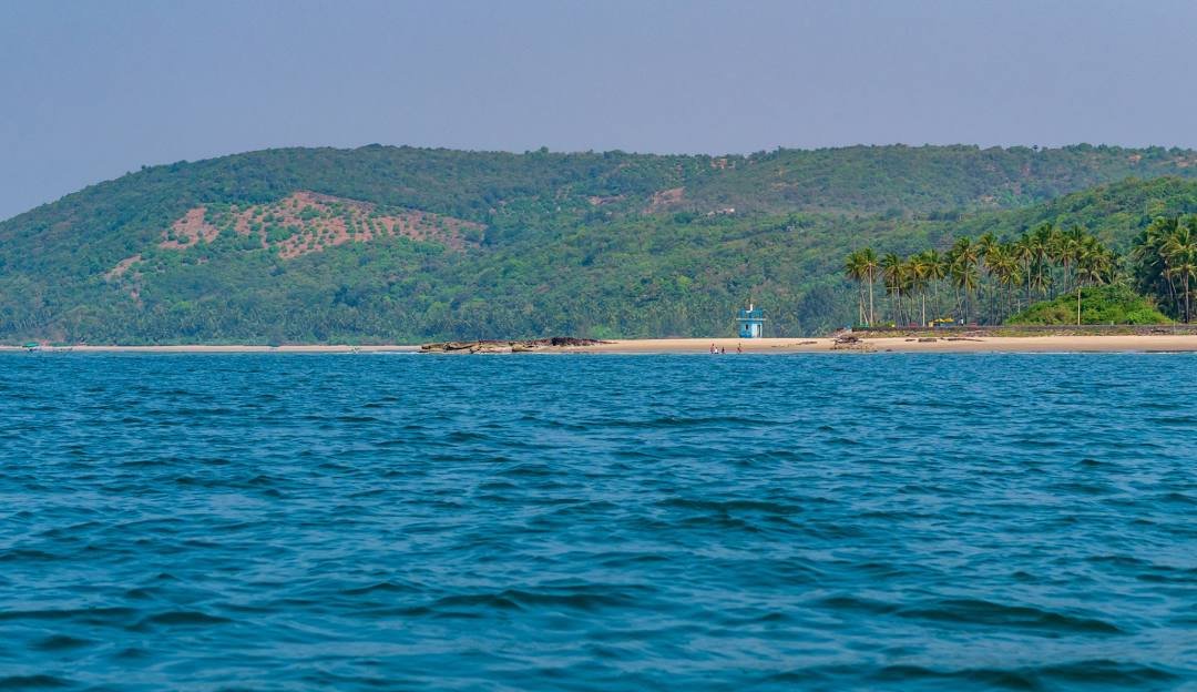 Tarkarli