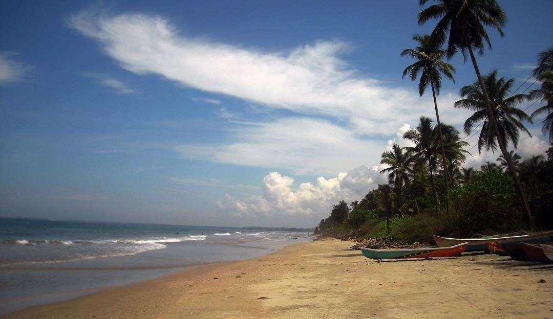 Devbag