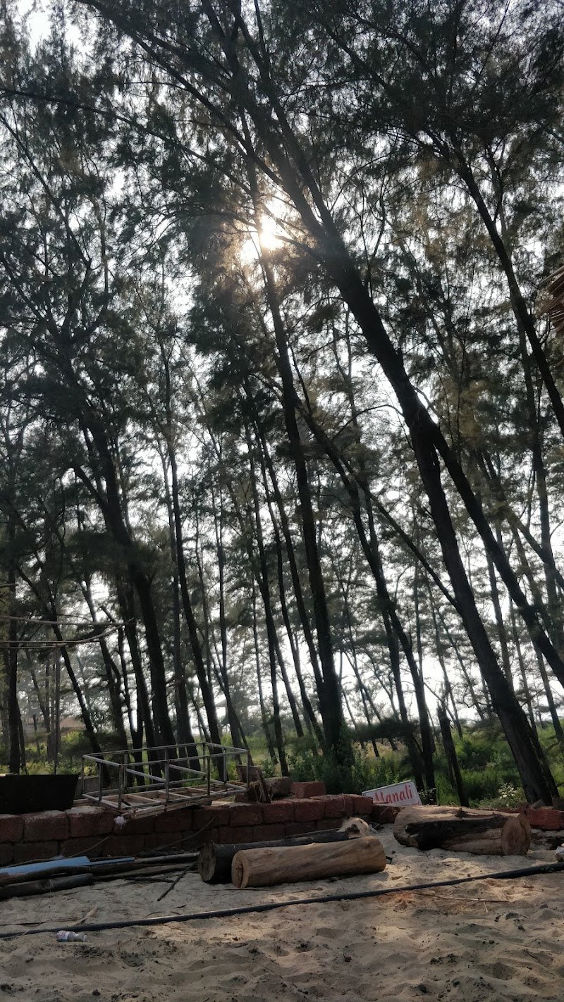 Manali Resort 5