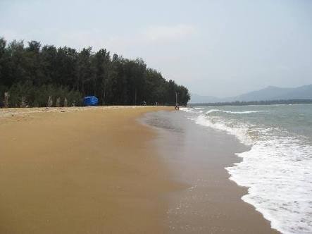 Living Space Resort 5
