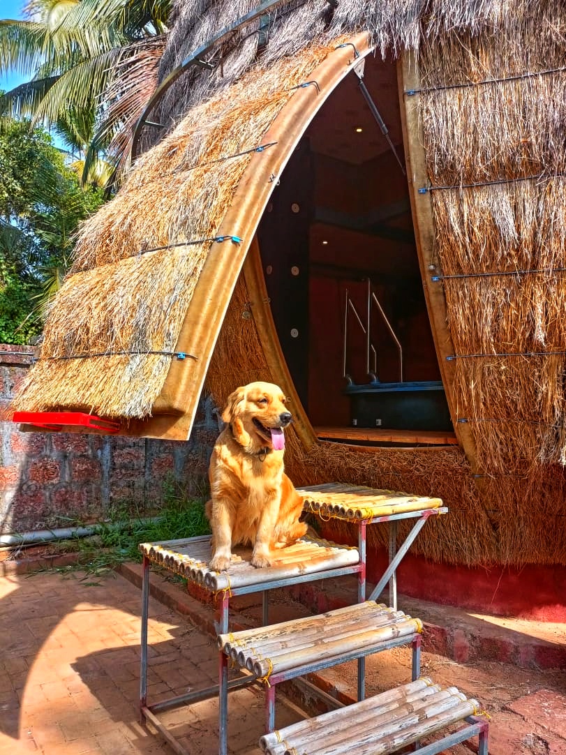 Phoenix Domes 5