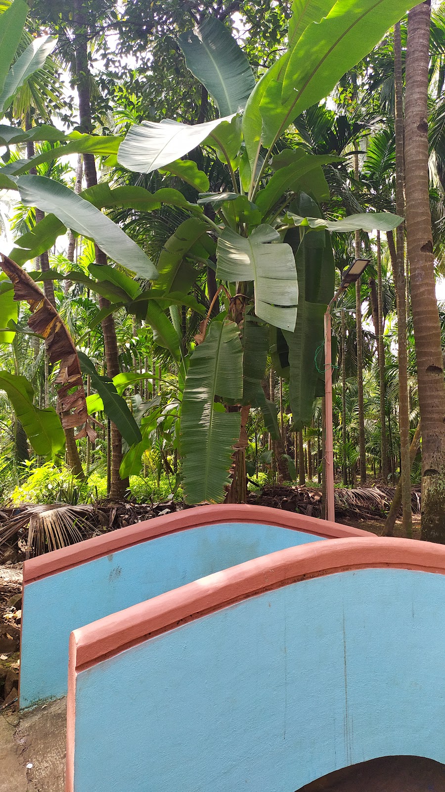 Blue Breeze Resort 3