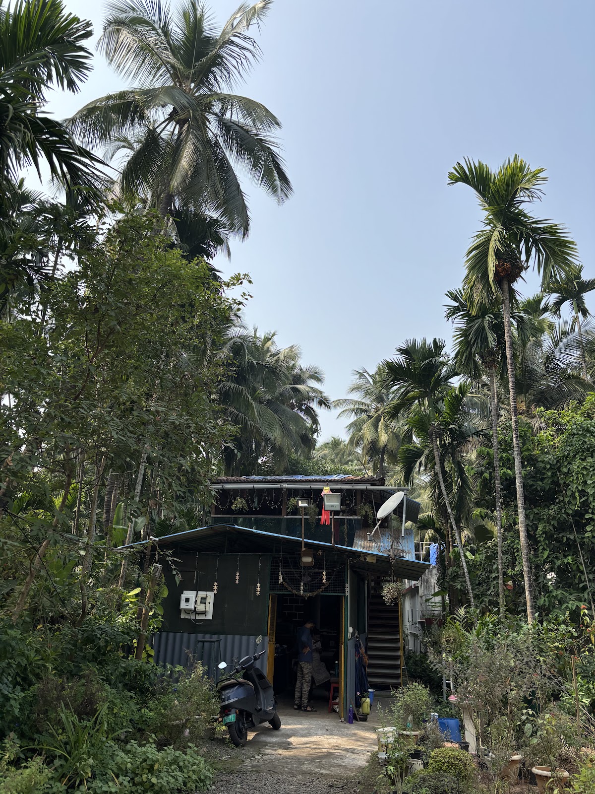 Vismaya Home Stay & Spicy Kitchen