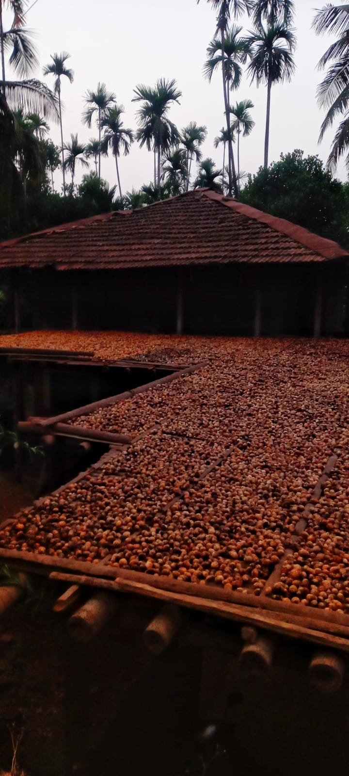 Keshavraj Corner 2
