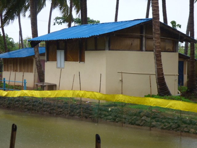 Bancy Wooden Huts 5