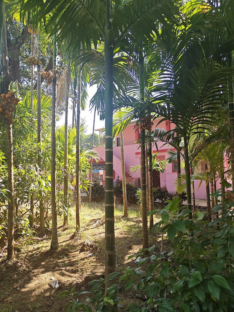 Saniya Sea Resort 5