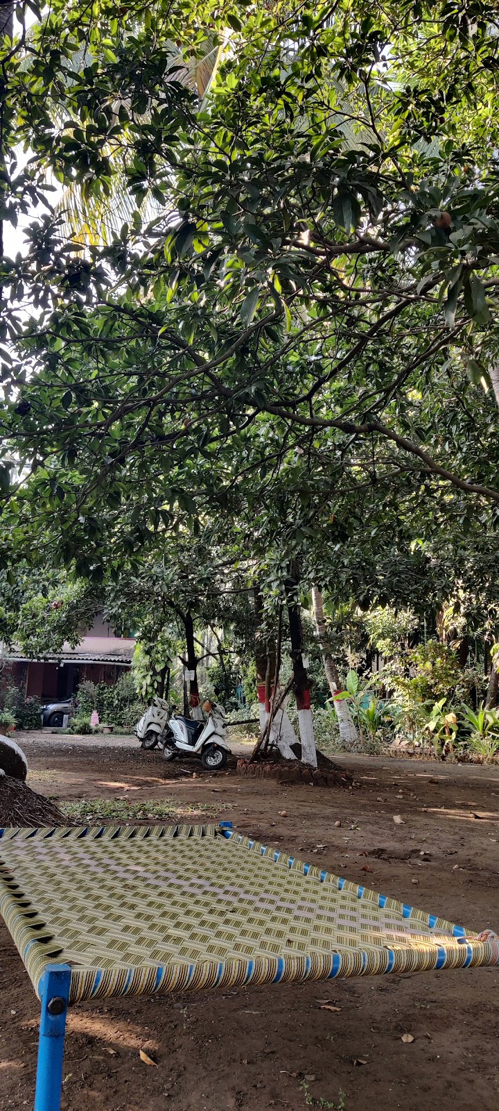 Bageecha B&B - Kshithi 🌍 4