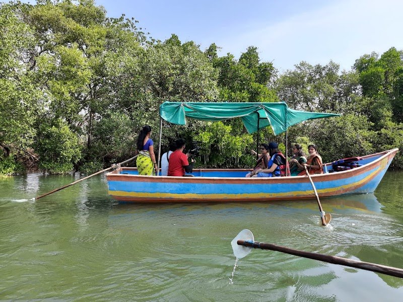 The Mangrove 2