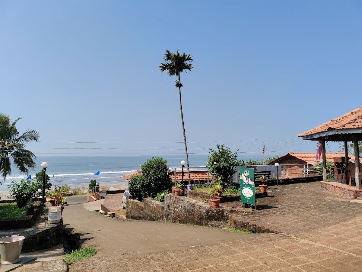 Hotel Kinara 4