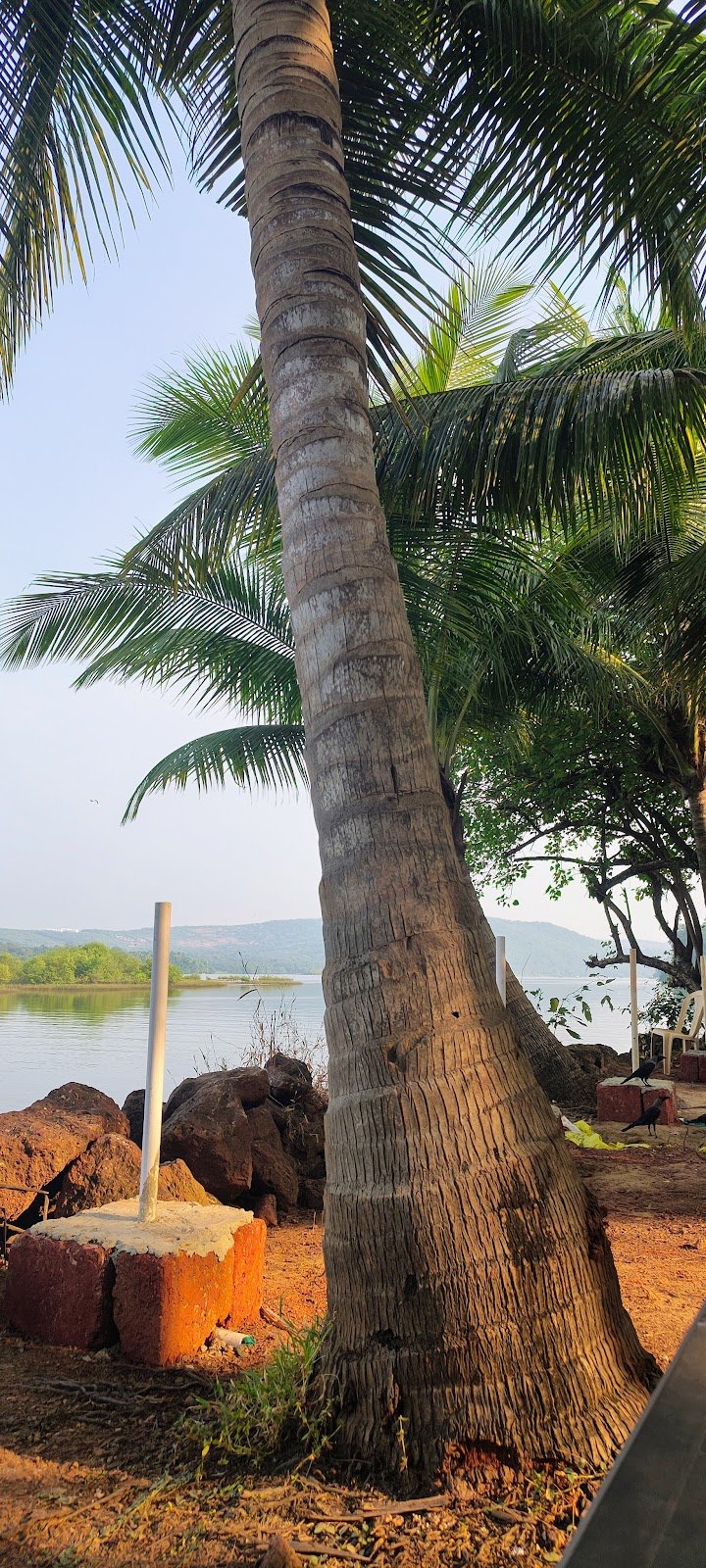 Madurai River View Resort 5