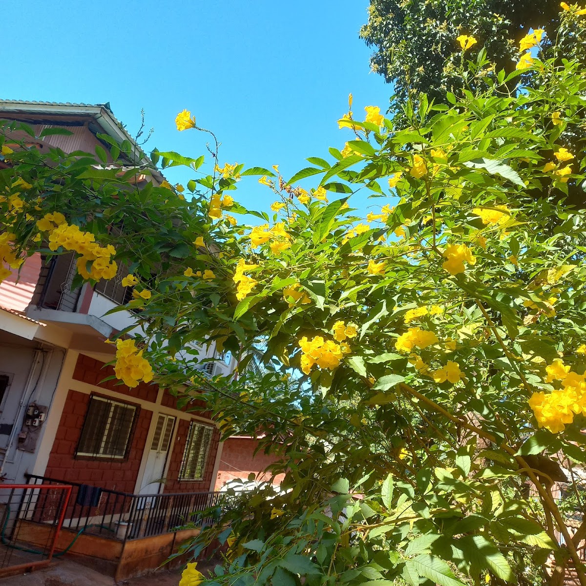 Bahar Homestay 5