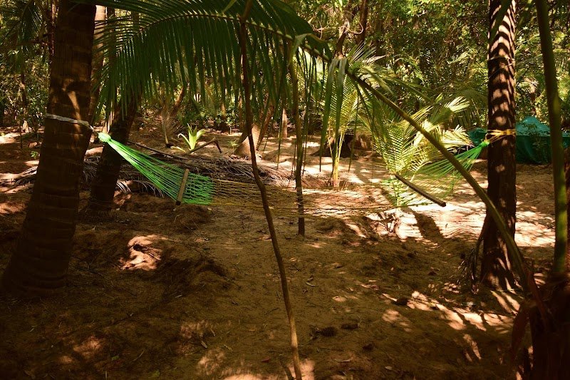 Walawalkars Beach Resort 3