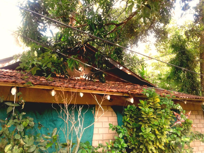 The Coconut Tree House 3