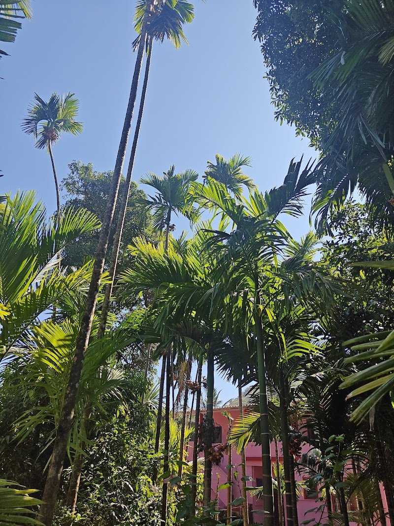 Saniya Sea Resort 4