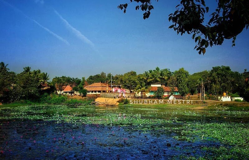 Vijaya Guest House and Restaurant 5