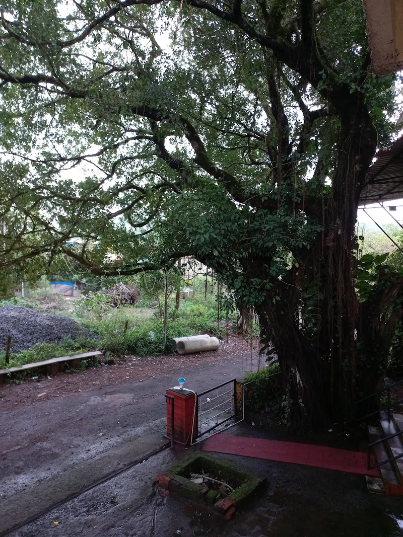 Hotel Green Palace 5
