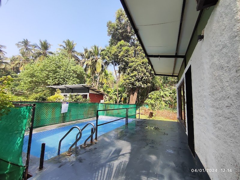 Palm Orchard Agro Resort 3