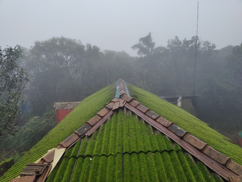 Saijyoti Resort And Lodging