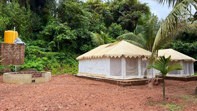 Nivti's Hornbill Nest