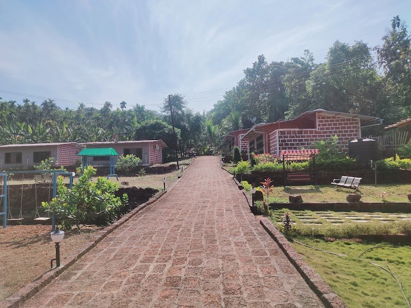 The Areca Farm 5