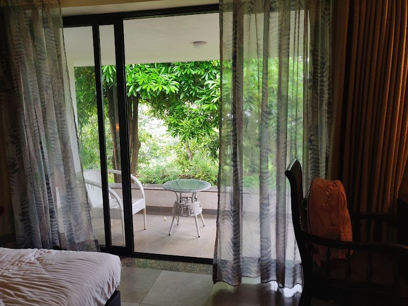 The Areca Farm 2