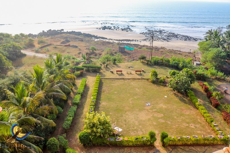 Whistling Palms Beach Resort 5