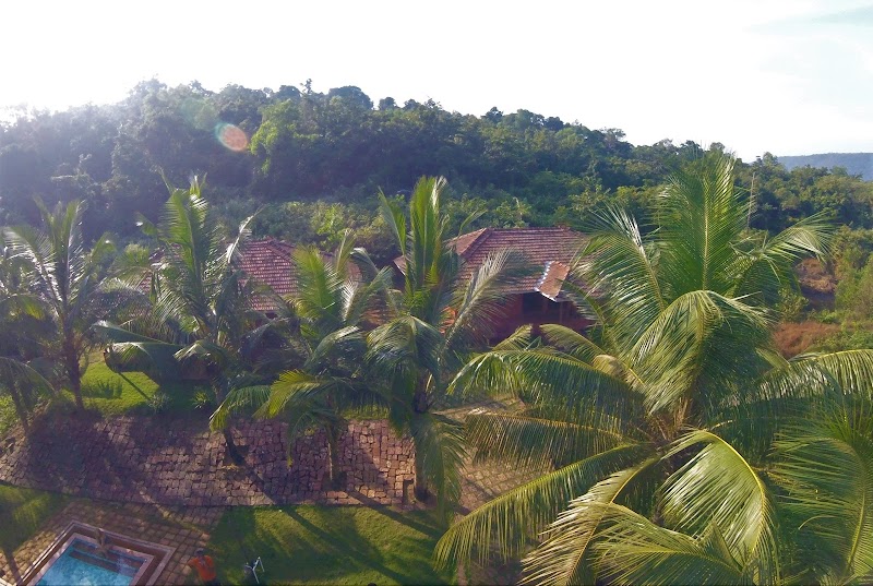 Happiness Estate - Farmstay and Foodforest 4