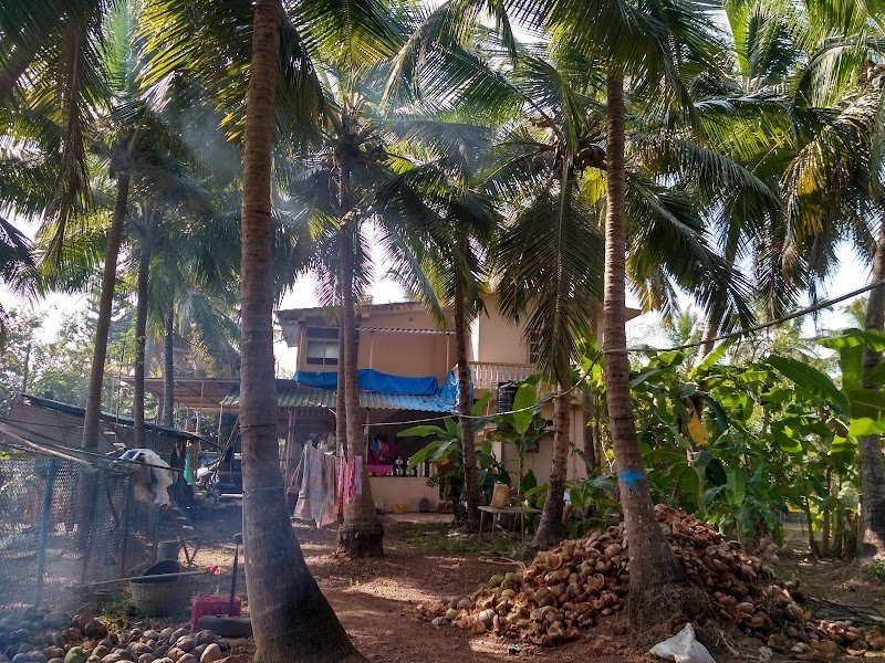 Bancy Wooden Huts 4
