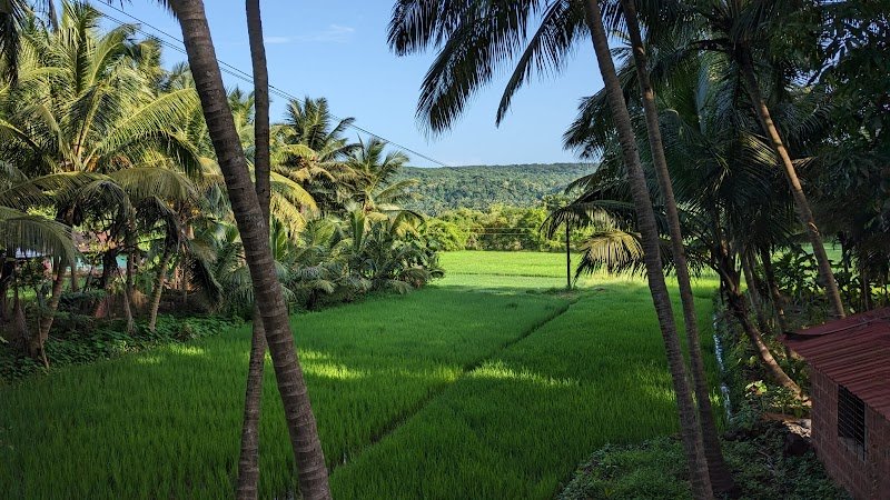 Bhadrakali Homestay 2
