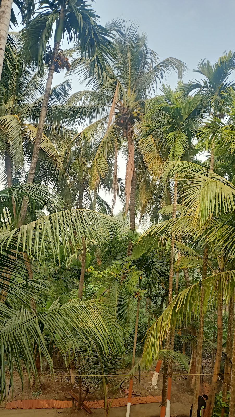 Atharva Home Stay 5