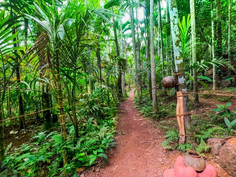 Maachli Farmstay 4