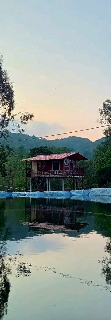 Ajara Agro Tourism 4