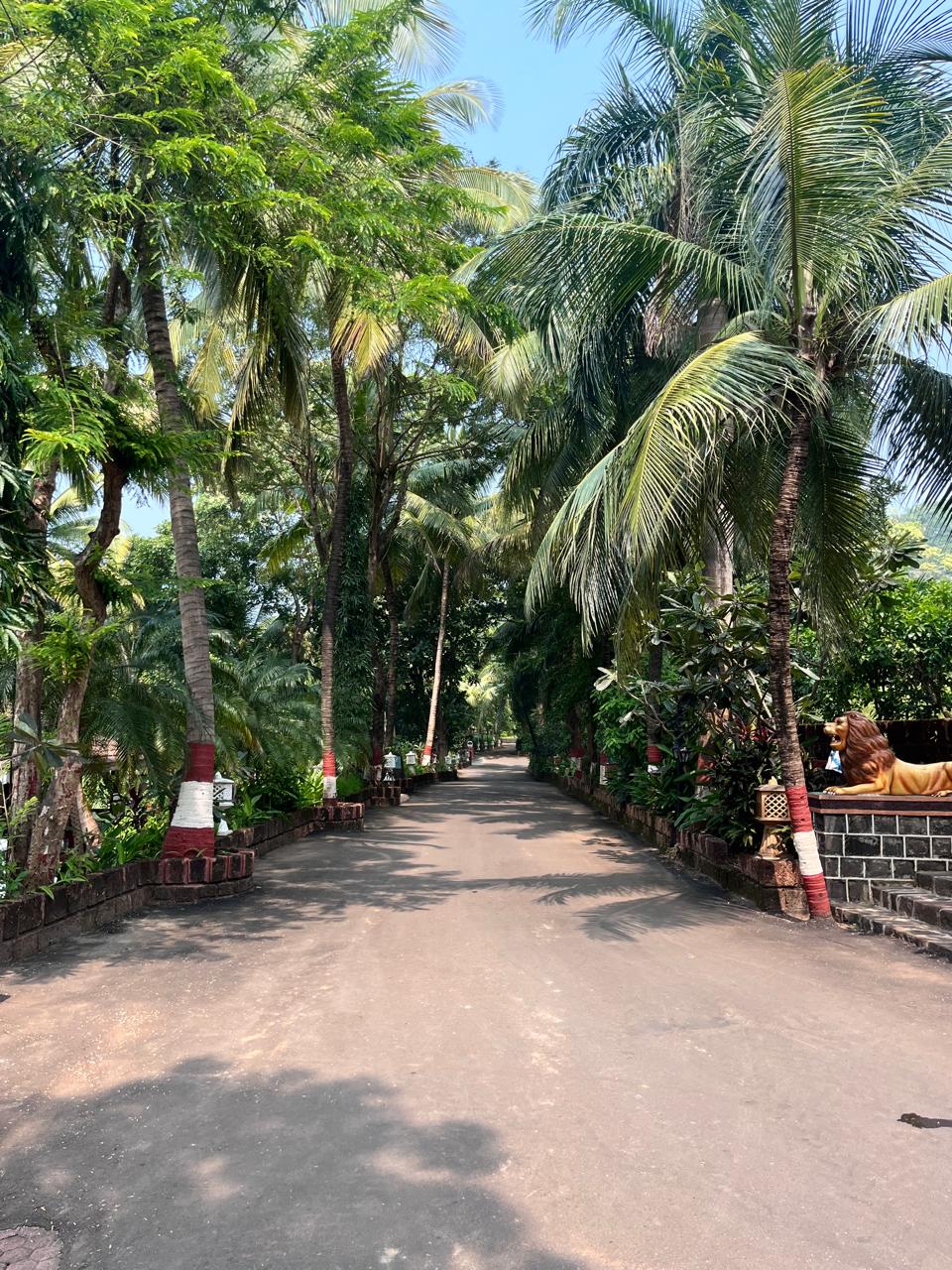 Alibaug Resort 5