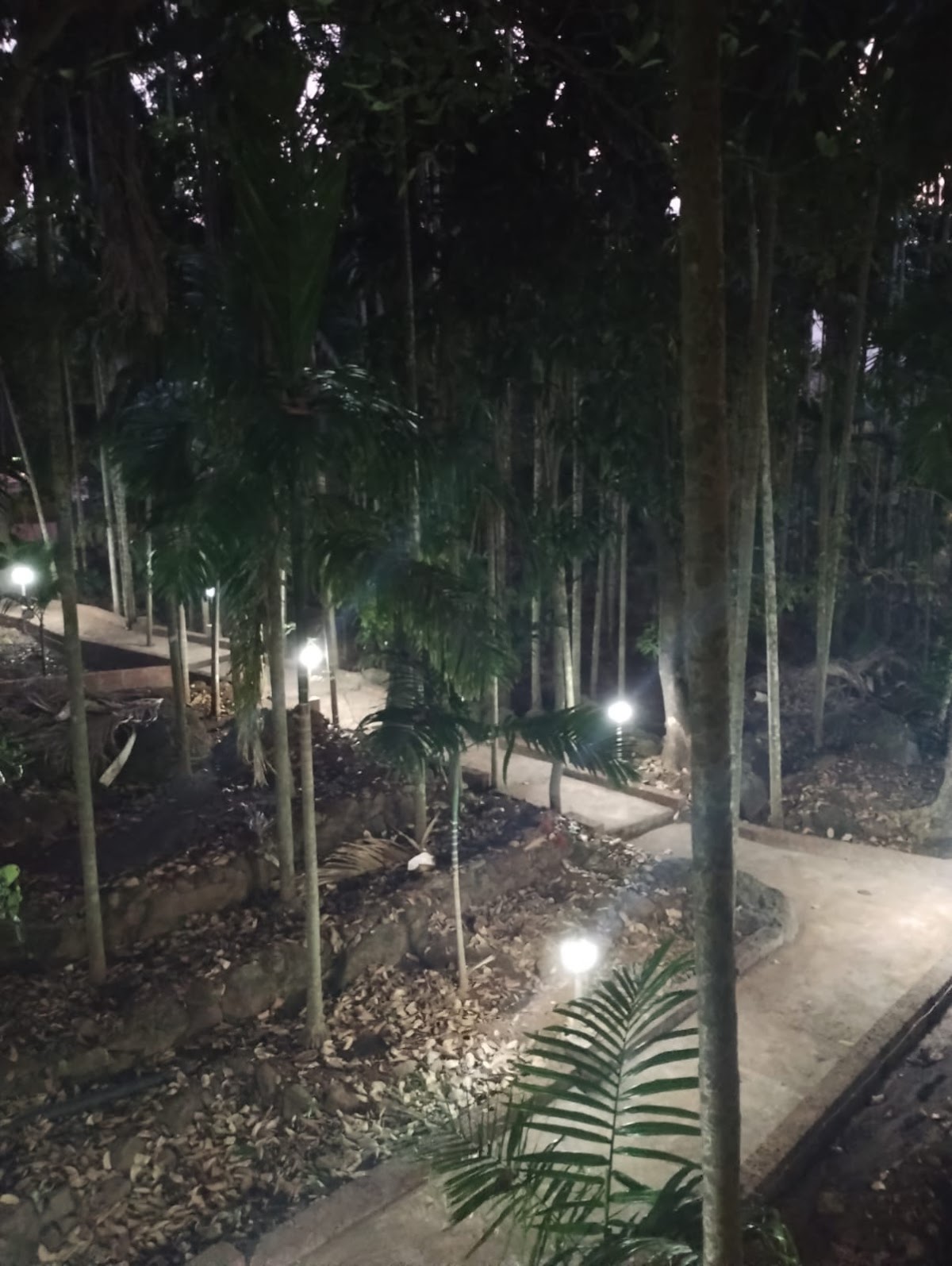 Green Breeze Resort 4