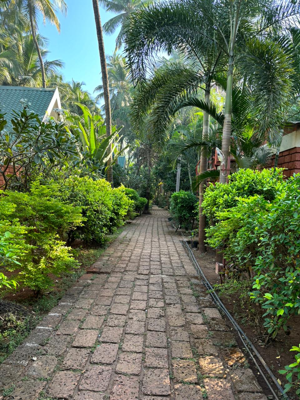 Blue Breeze Resort 5