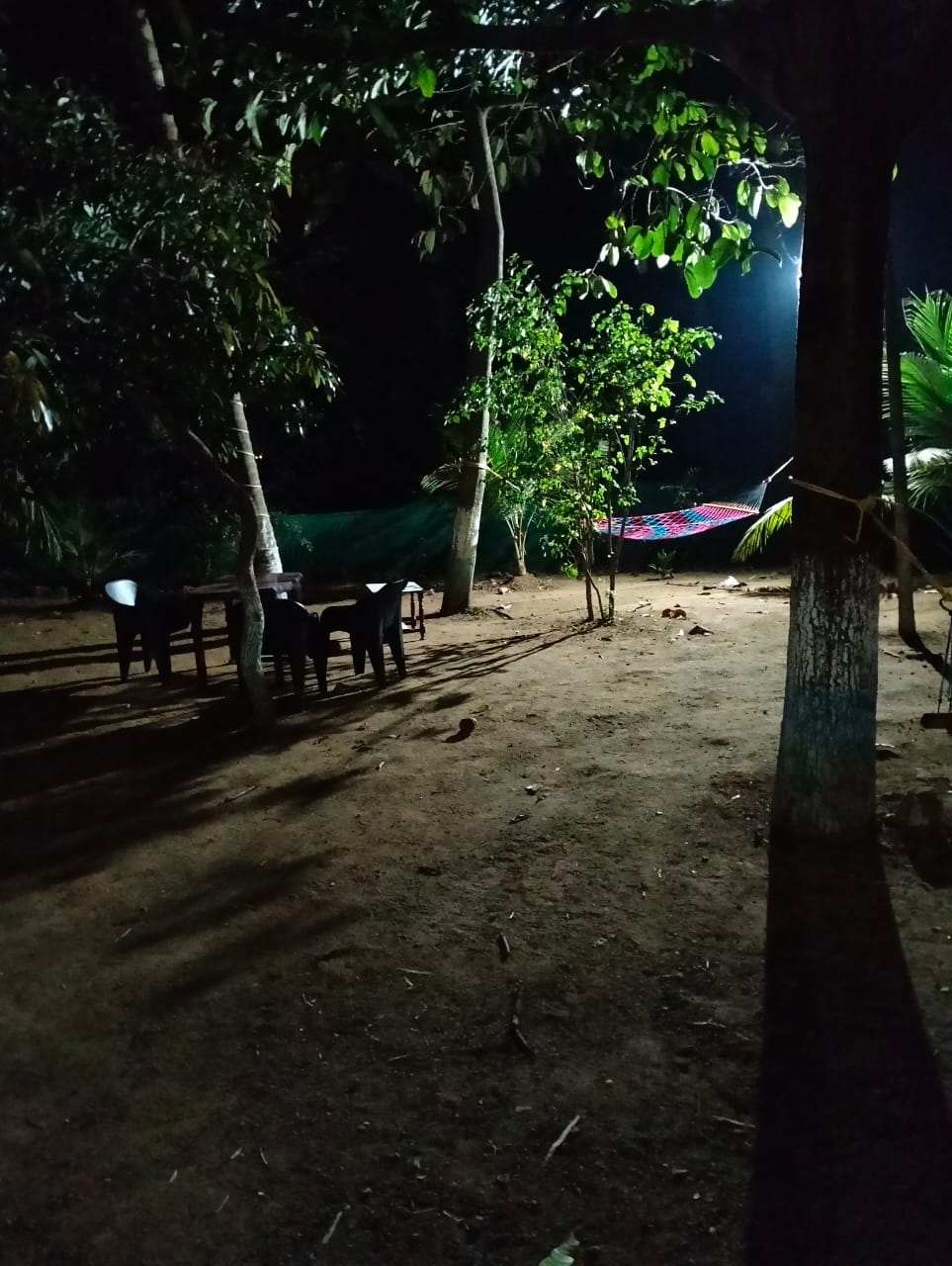 Madhuban Homestay 4