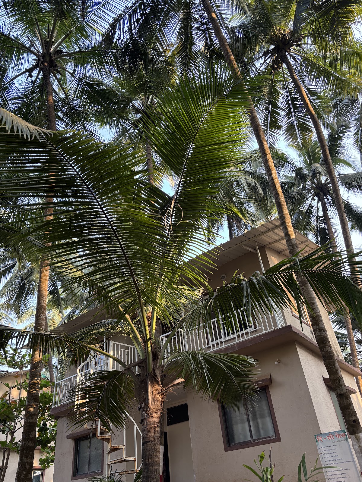 Blue Breeze Resort