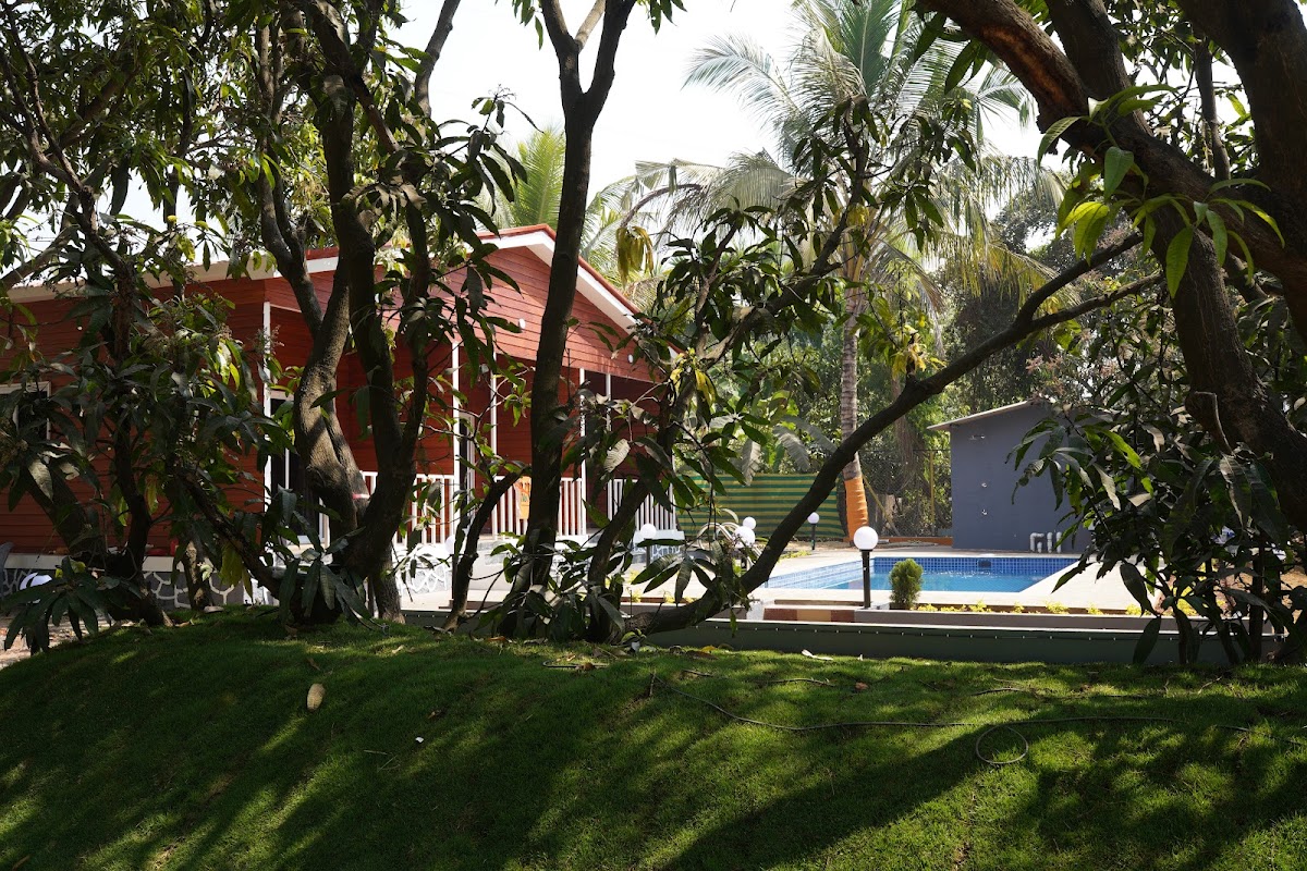 The Mango Leaf 4