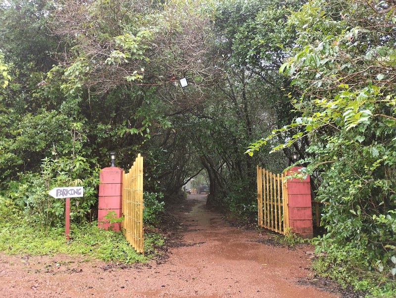 Mrugaya Nature Retreat Resort 5