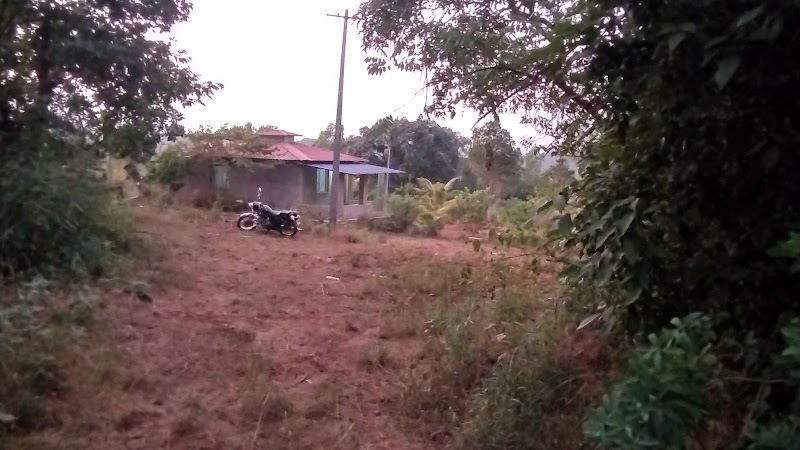 Hotel Pushpak Garden 3