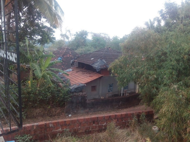 The Mango House 4