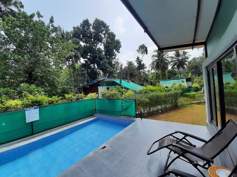 Palm Orchard Agro Resort 4