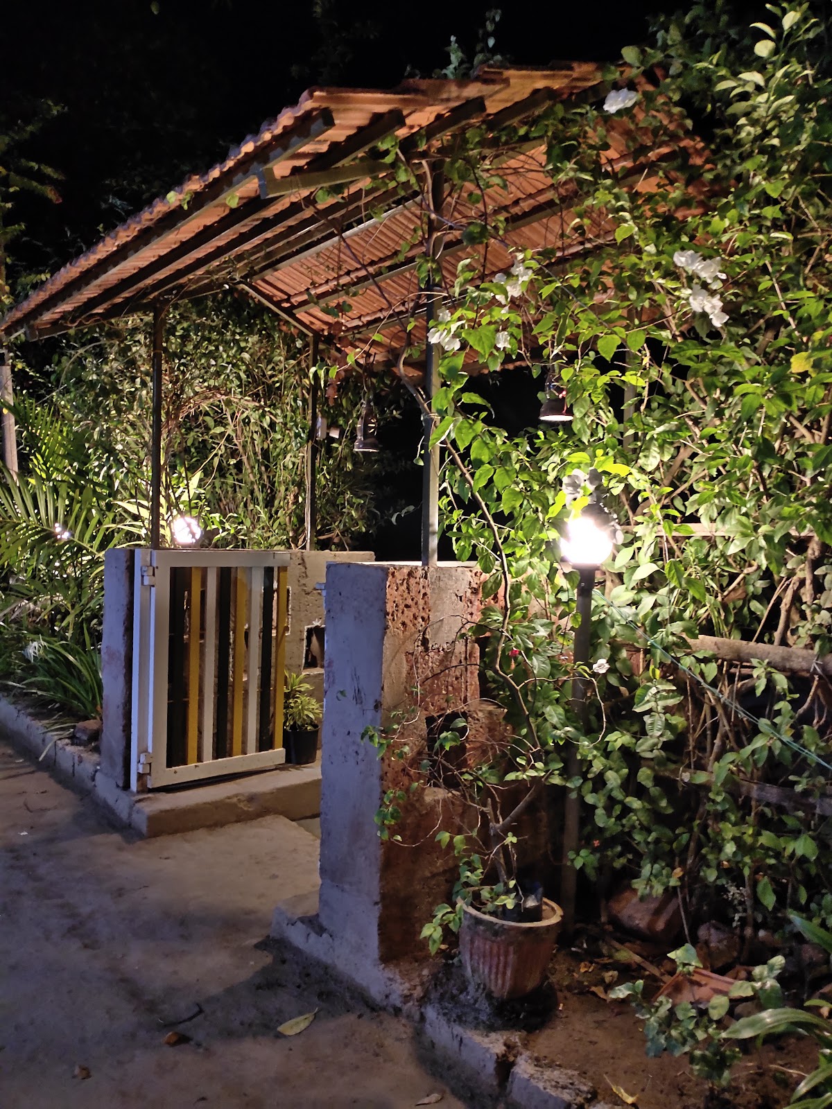 Palvi Cottages 4