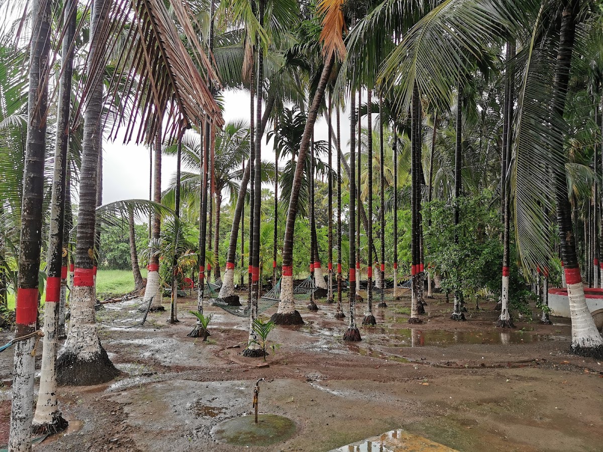 Ganraj Holiday Home 4