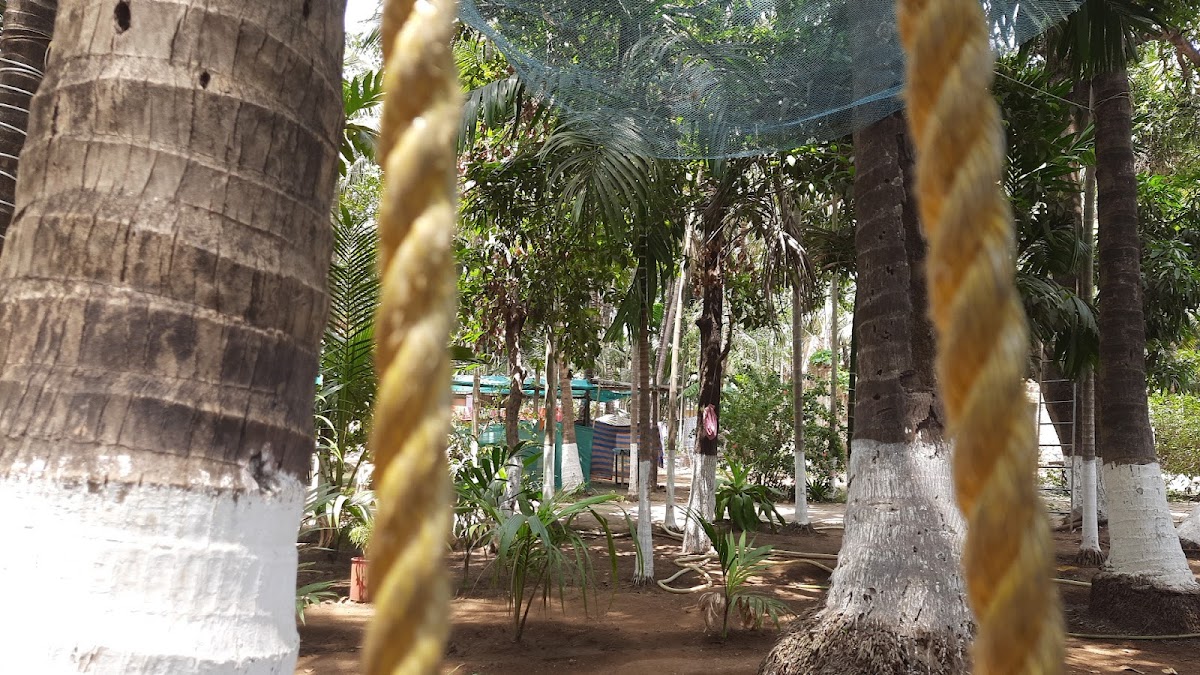 Suhas Patil Homestay 4