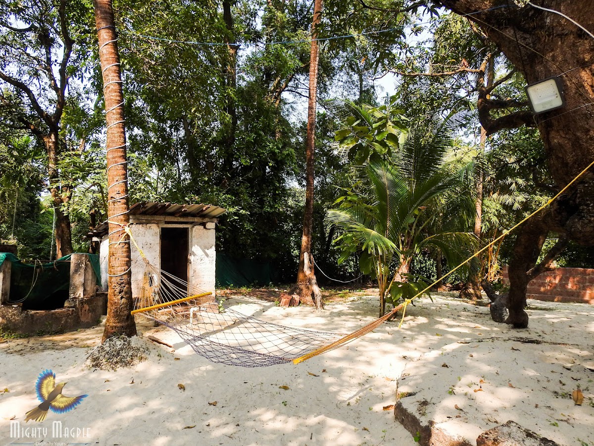 The Tent Resort 4