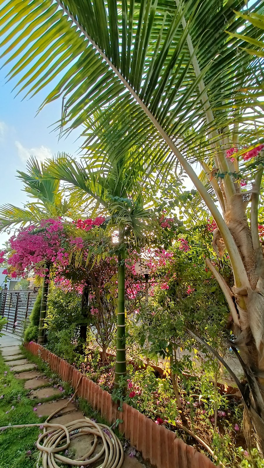 Anvi's Homestay 4