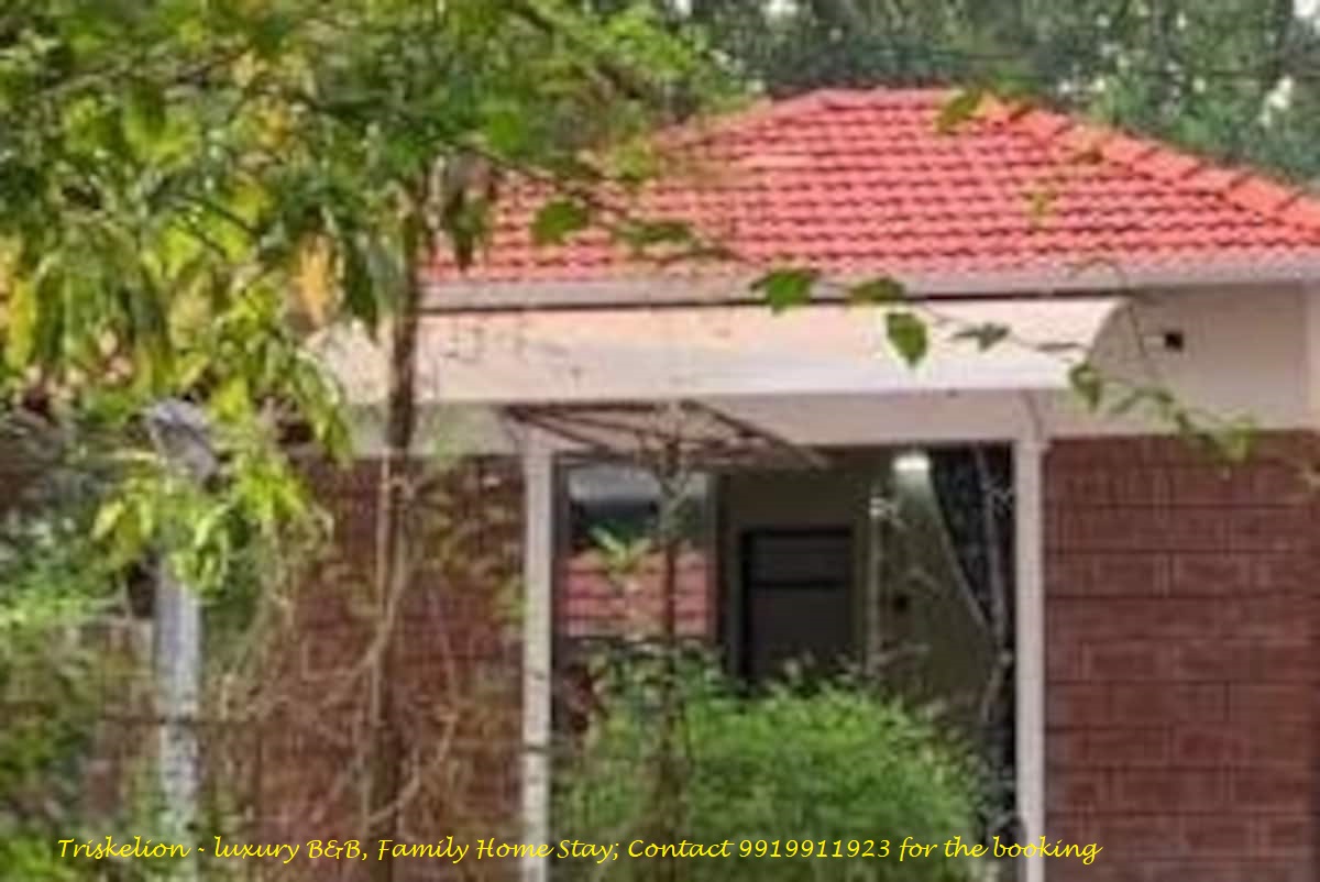 Triskelion Homestay - Authentic Retreat 5