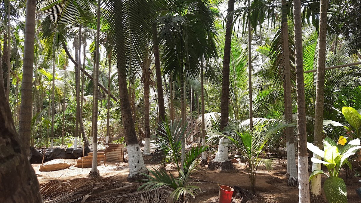 Suhas Patil Homestay 2