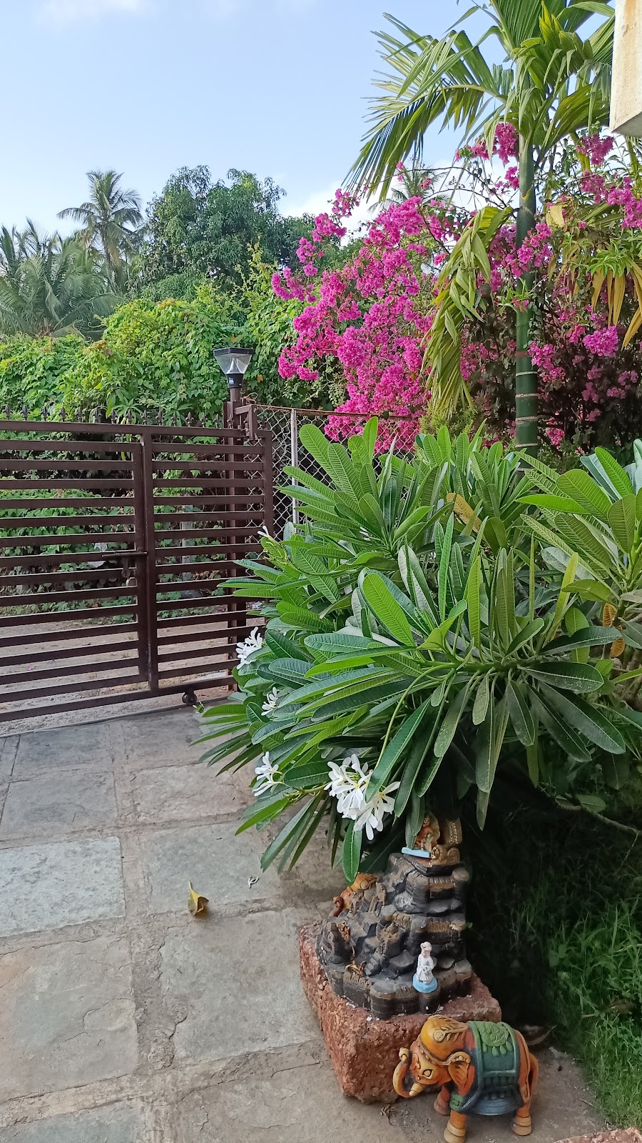 Anvi's Homestay 5